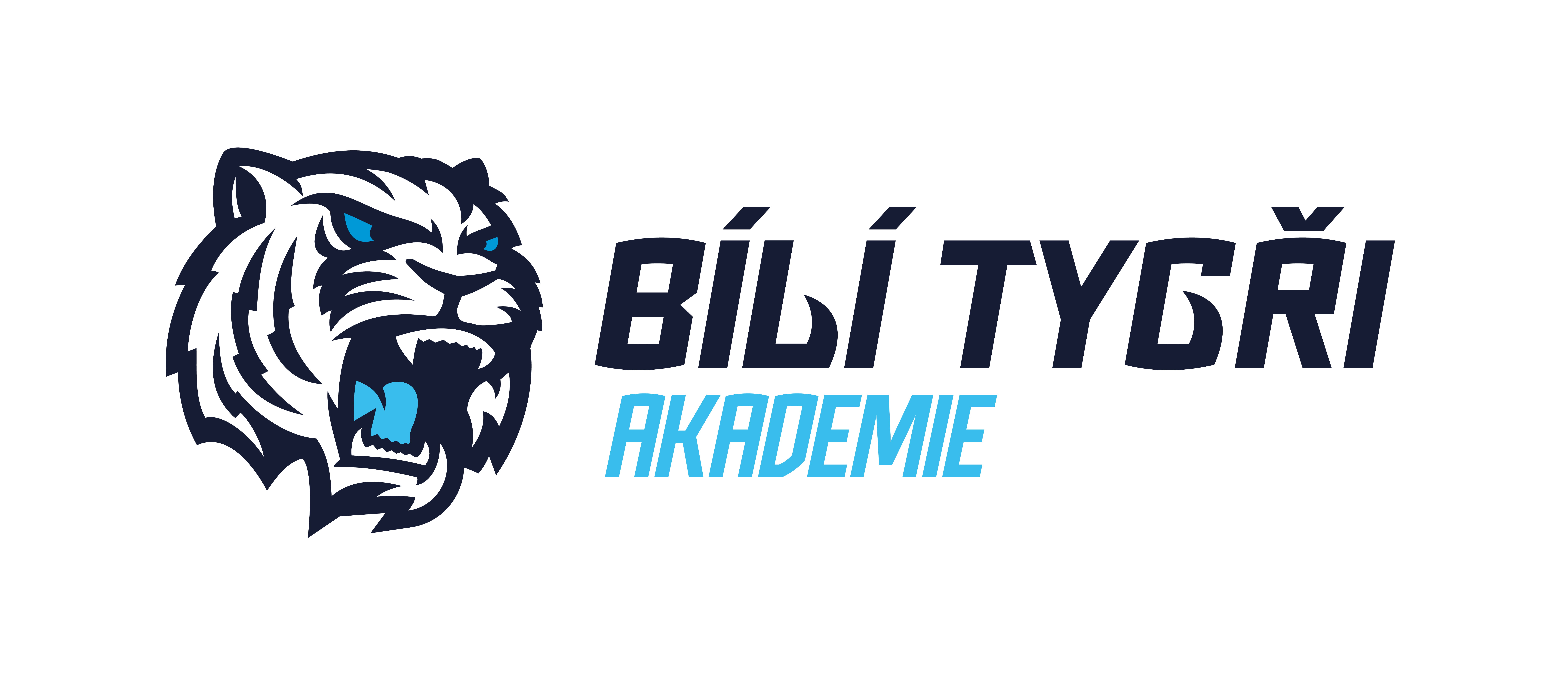 BTL Akademie